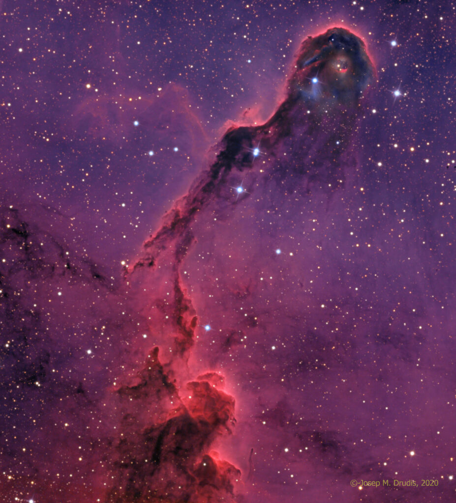 IC 1396A. The Elephant Trunk in natural color – Astrodrudis